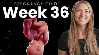 36 Weeks Pregnant  Week By Week Pregnancy [upl. by Alakcim]