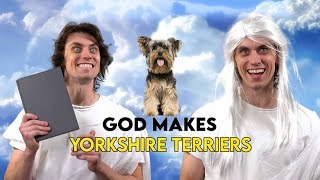 God Makes Yorkshire Terriers [upl. by Axel4]