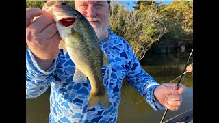 Bass Fishing on Sam Rayburn [upl. by Ociram]