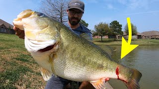 EVERY BASS ANGLERS WORST NIGHTMARE Big mistake [upl. by Levey]