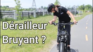 Ajuster Un Dérailleur Arrière Sur Un Vélo [upl. by Chase]