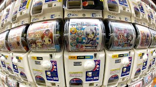 Gachapon Capsule Toy Adventure in Akihabara [upl. by Hanoy]