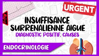 L’Insuffisance Surrénalienne Aigue Signes Cliniques et Paracliniques Causes Facteurs Déclenchant [upl. by Iel566]