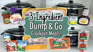 6 DUMP amp GO CROCKPOT DINNERS  The EASIEST 3Ingredient Slow Cooker Recipes  Julia Pacheco [upl. by Yehs]