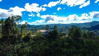 Hacienda Bona Vista  Castaner Lares Adjuntas Puerto Rico [upl. by Dumanian]