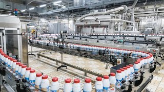 Fabrication du lait en poudre  Usine moderne de traitement du lait en poudre Food Factory 🥛 [upl. by Akemej588]