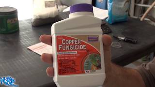 ⟹ Copper fungicide  Bonide  Product overview [upl. by Reddin992]