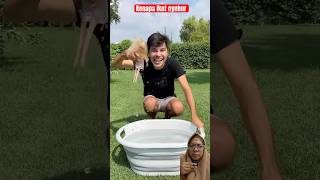 Kenapa ikut nyebur ‼️ funny pool summer swimmingpool prank [upl. by Suhsoj]