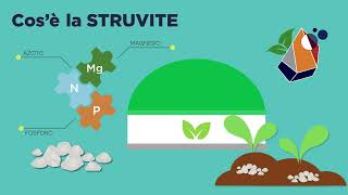 Presentazione del progetto Struvite [upl. by Bores386]