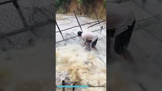 Terrific fishing amazing fishing trap catching downstream fish fishing netsfishing [upl. by Aynom781]