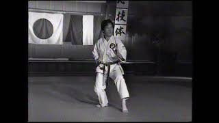 Unshu kata by Kamohara Tsutomu sensei  Shukokai  France 1993 [upl. by Doreg]