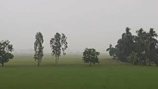 Chagallu Pasivedala Green Fields Nature Beautiful indianrailways trainvideo traintravel [upl. by Amargo]