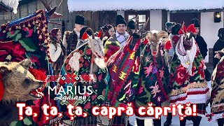 Marius Zgâianu Ța ța ța capră căpriță [upl. by Aniuqal]