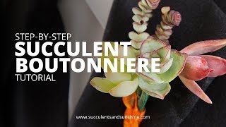 How to Make a Succulent Boutonniere [upl. by Analat36]