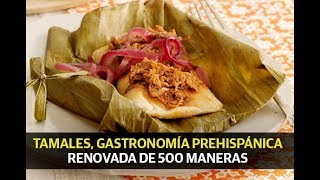 Tamales gastronomía prehispánica renovada de 500 maneras [upl. by Ailati342]