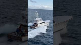 Taking a lap around “Southern Run” a Bayliss 64’ custom sportfish yacht 🎣 [upl. by Anihs808]