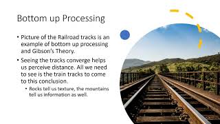 Unit 4 Top Down v Bottom Up Processing [upl. by Llebyram]