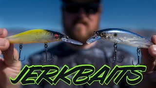 Fall Jerkbait Fishing Everything You Need To Know [upl. by Yerffoej]