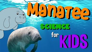 Manatee  Science for Kids [upl. by Janenna]