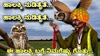 Mysterious secrets of ಹಾಲಕ್ಕಿ  Spotted Owlet Information in Kannada [upl. by Aiynat]