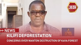 Concerns over wanton destruction of Kaya forests [upl. by Vivica]