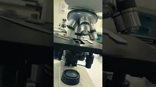 Light Microscope Close Look Video lightmicroscopy slides biology mbbsdiaries [upl. by Moody710]