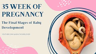 35 Week of Pregnancy The Final Stages of Baby Development [upl. by Buskirk]