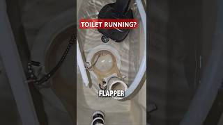 DIY Toilet Repair Flapper Replacement plumbing plumber fail diy howto shorts fyp toilet [upl. by Eenrahc]