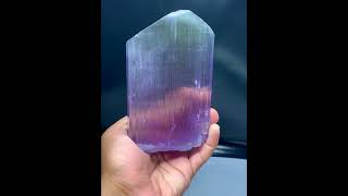 Bicolor KunziteCrystal  SpodumeneKunzite  PurpleKunzite  KunziteSpecimen [upl. by Sancha]