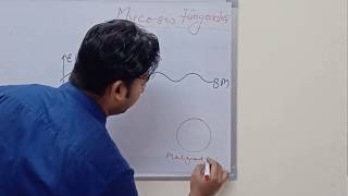 Mycosis Fungoides and Sezary Syndrome [upl. by Abner210]