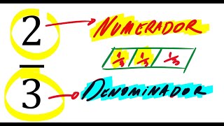 NUMERADOR E DENOMINADOR DE UMA FRAÇÃO  DICA RÁPIDA 1 DE FRAÇÃO [upl. by Ettenuahs]