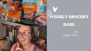 WEEKLY FOOD HAUL ON A BUDGET  LIDL  FAMILY OF 6 [upl. by Deloris]