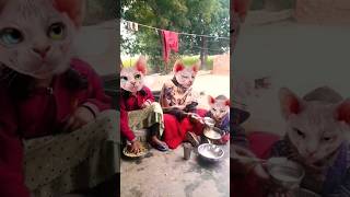 Lalla Lalla Lori dudh ki Katori Lalla Kare Tamasha🐱🐱🐱🙀🙀🙀😃😃😃😛😛😛👌👌 funny cute short video [upl. by Adlig317]