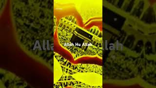 O Tanha Kaun Hai Allah Hu Allah shortvideo loveallahﷻ foryou [upl. by Laet453]