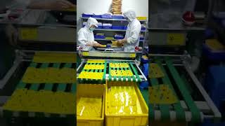 Factory Outlet Made in China Electrostatic Precipitator for PCB FPC Ccl Polyimide Film Electrostati [upl. by Cutlip]