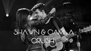 Shawn amp Camila  Crush [upl. by Euqinimod]