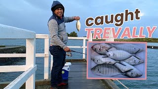 Port Fairy  Fishing in Port Fairy Jetty  Catching Trevally [upl. by Cleavland]