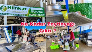 243 Kilo Zeytinden Bakın Kaç Kilo Zeytinyağı Çıktı  Osmaniye Sumbas [upl. by Leahcimnoj399]