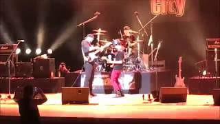 45 Elevate  The Winery Dogs by 15 yo guitarist [upl. by Lucania76]