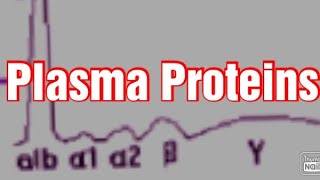 Plasma Proteins Biochemistry Albumin Globulins  Fibrinogen [upl. by Anaitat465]