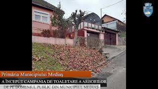 A început campania de toaletare a arborilor de pe domeniul public din Municipiul Mediaș [upl. by Wooldridge]