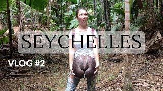 SEYCHELLES HONEYMOON VLOG 2  Coco De Mer Zimbabwe  Dilya London [upl. by Eadmund]