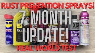 Rust Prevention Sprays  Ultimate Test  7 month Update [upl. by Stanislaw]