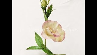 Flower Paste Lisianthus Spray [upl. by Mail819]