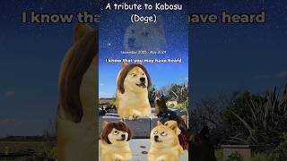 A tribute to Kabosu Doge [upl. by Brittnee]