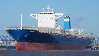 Empty containership CEZANNE arrives at port of felixstowe 51117 [upl. by Eycal]