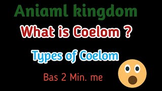 Animal kingdom Coelom NEET AIIMS [upl. by Leasa912]