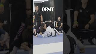 OPMT 프로리그 파이널 opmt bjj [upl. by Eimia]