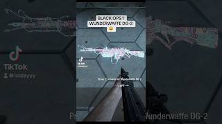 WUNDERWAFFE DG2 ON BLACK OPS 1 [upl. by Marlene]