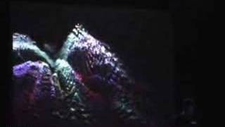 xxxy visuals w Murcof live  MIT ending concept Roma [upl. by Blondell383]